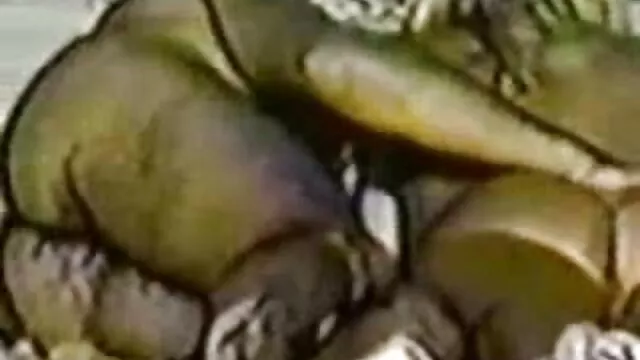 Silakan, bokep bontot redhead, 720p